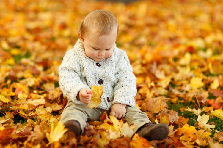 lapsi istuu syksyllä keltaisten lehtien keskellä