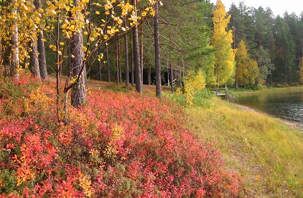Lammen ympärysmatka perheille syksyn väriloistoa ja lampi
