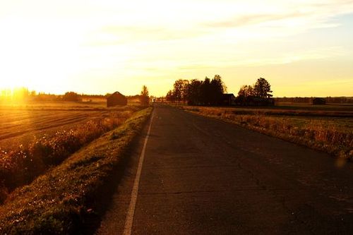 Tie halkoo peltomaisemaa auringonlaskun aikaan.